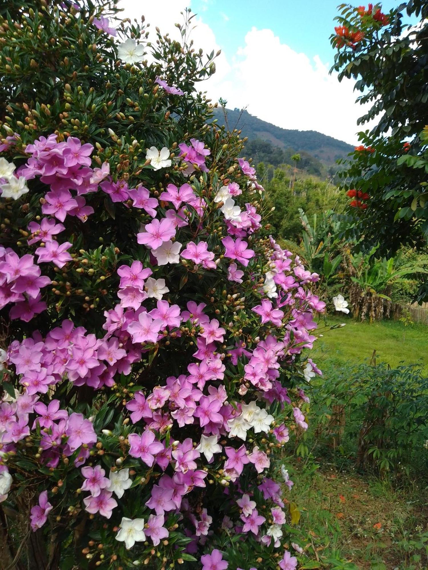 Rancho Pe Da Pedra Villa São Bento do Sapucaí Rom bilde