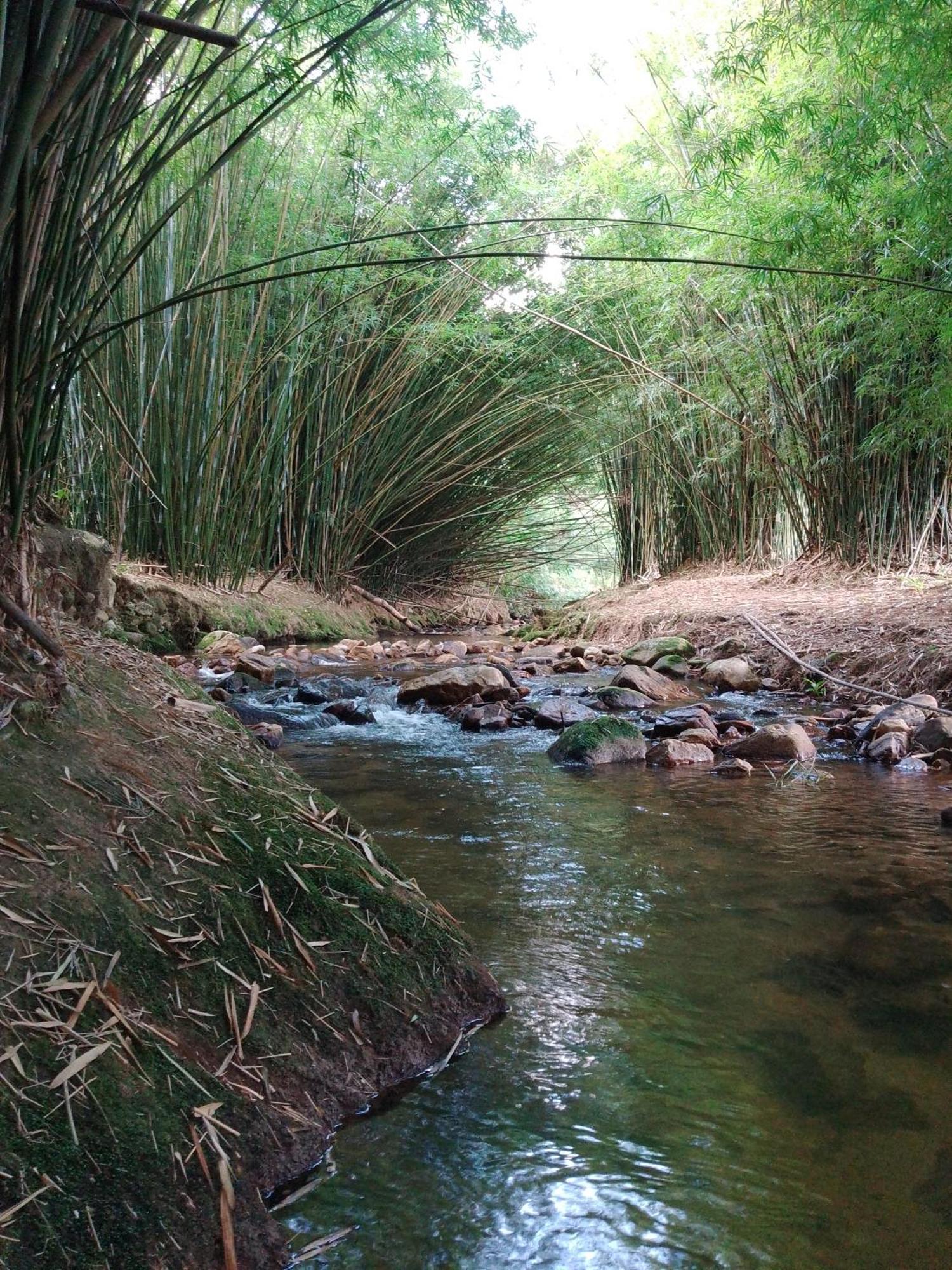 Rancho Pe Da Pedra Villa São Bento do Sapucaí Rom bilde